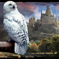 Lenticular 3D Puzzle: Harry Potter Hedwig - 4DPuzz - 4DPuzz